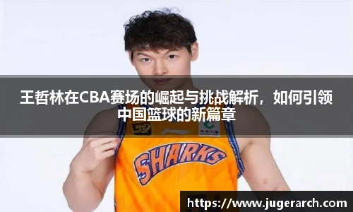 王哲林在CBA赛场的崛起与挑战解析，如何引领中国篮球的新篇章